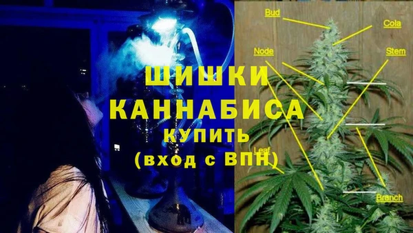 Альфа ПВП Алзамай