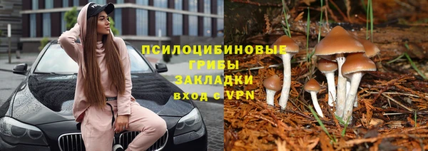 крисы Алексеевка