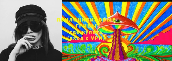 МДПВ Алексин