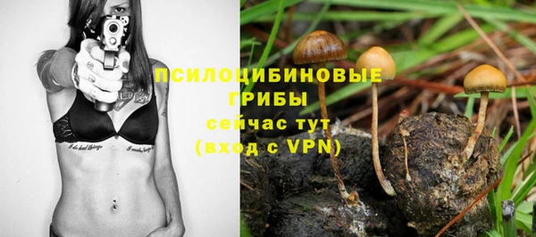 Альфа ПВП Алзамай